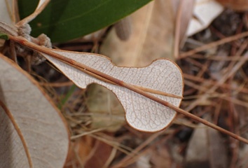 PA260165a.jpg